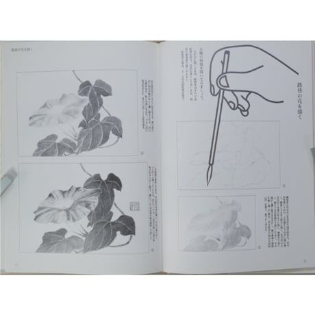 はがき絵 四季の草花 増渕澄子 日貿出版社