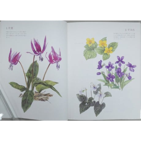 大人の塗り絵 春の花編 佐々木由美子 河出書房新社