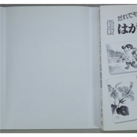だれでもできる最新はがき絵教室 水墨・墨彩で描く 山下秀樹 誠文堂新光社