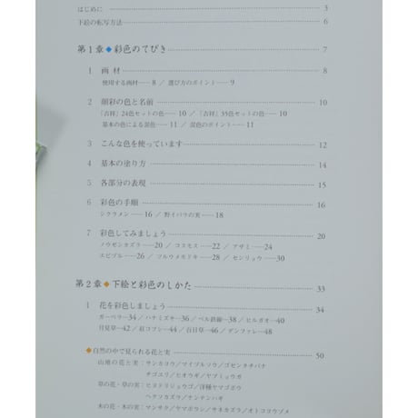 やさしい花と実のはがき絵 彩色の仕方、下絵つき 増渕澄子 日貿出版社