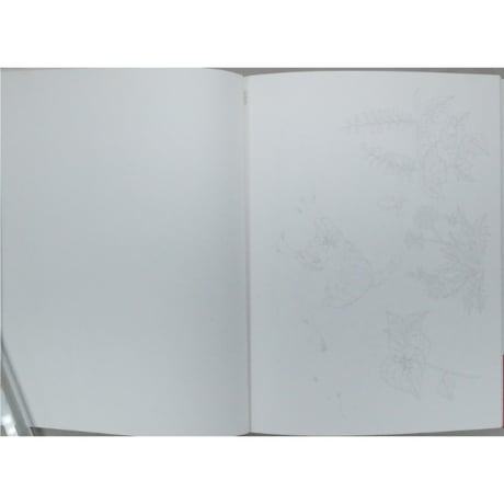 ダヤンの塗り絵 池田あきこ MPC