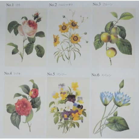 大人の塗り絵 花・フルーツ・風景・鳥 河出書房新社