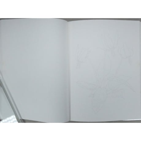 大人の塗り絵 春の花編 佐々木由美子 河出書房新社