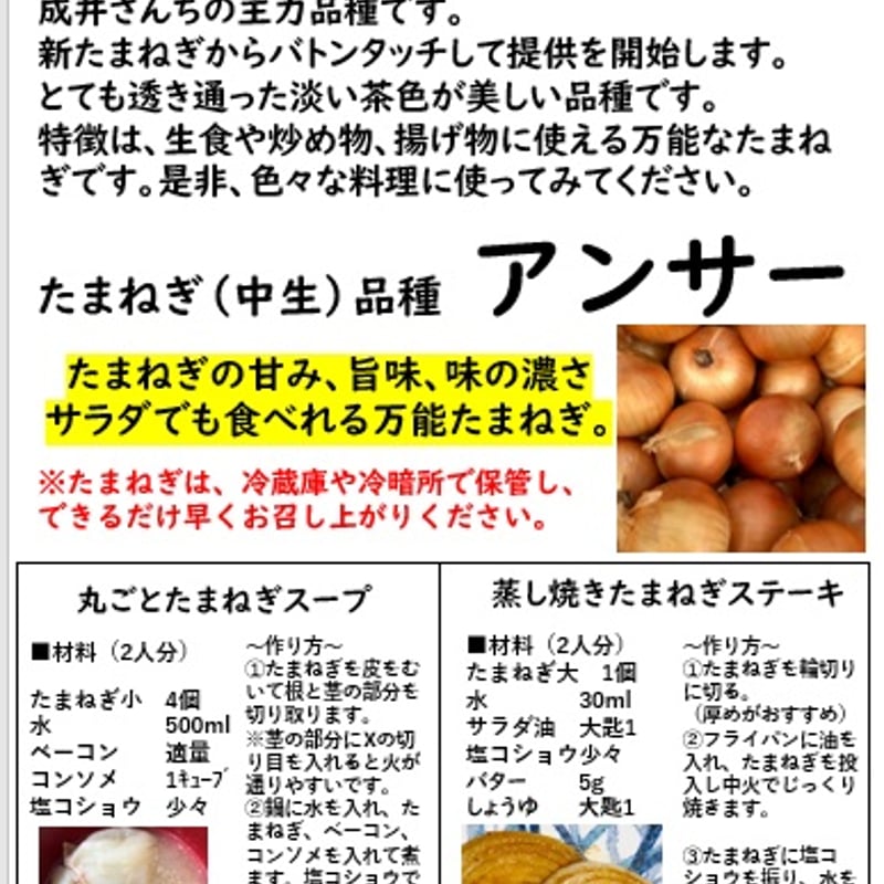 完熟たまねぎ 10kg アンサー | 成井さんちの完熟たまねぎ 淡路島