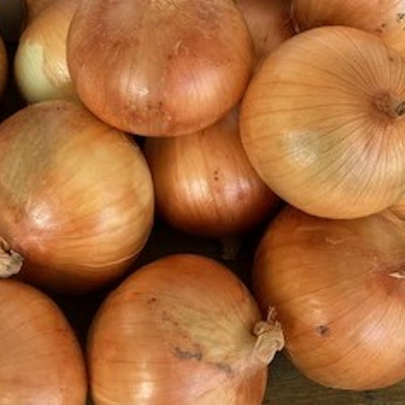 完熟たまねぎ 10kg アンサー | 成井さんちの完熟たまねぎ 淡路島