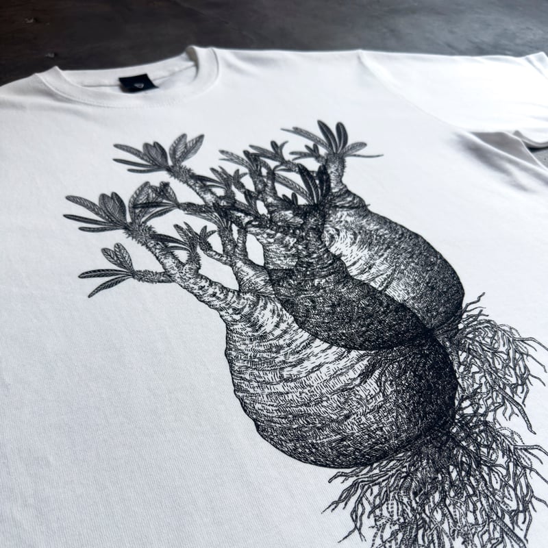 T-shirt - WHITE - PACHYPODIUM ROSULATUM VAR.GRA