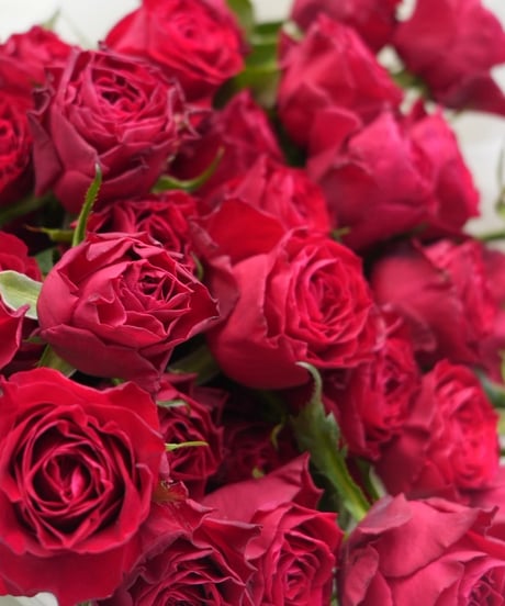 30ROSES/プロポーズブーケ(11/23お届けまで）