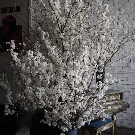 店舗・オフィスの生け込みからイベント・ポップアップの装花