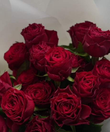 30ROSES/プロポーズブーケ(11/23お届けまで）