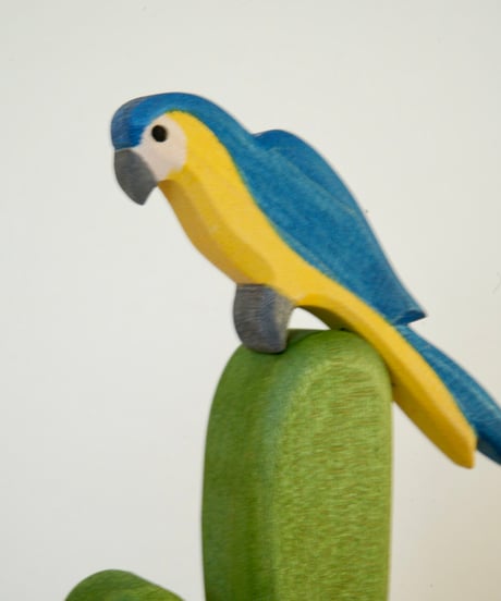 ルリコンゴウインコ　/　オストハイマー