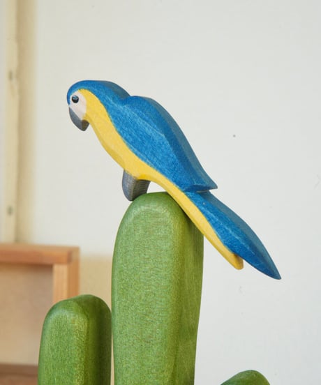 ルリコンゴウインコ　/　オストハイマー