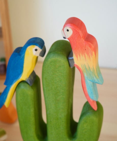 ベニコンゴウインコ　/　オストハイマー