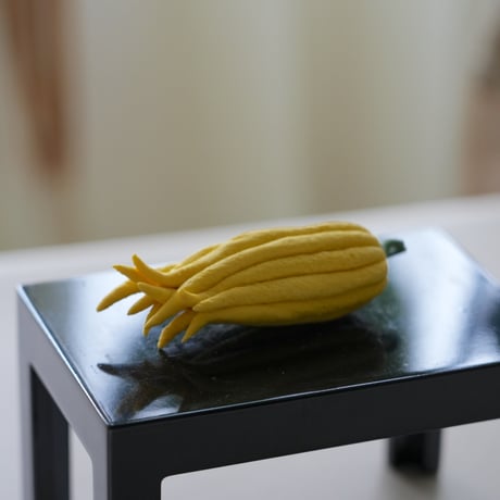 陶花　仏手柑