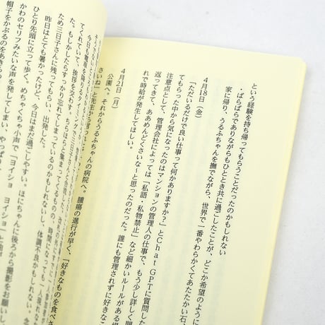 きら / つまづくところで立ちどまる　あのときなかった道をつくる