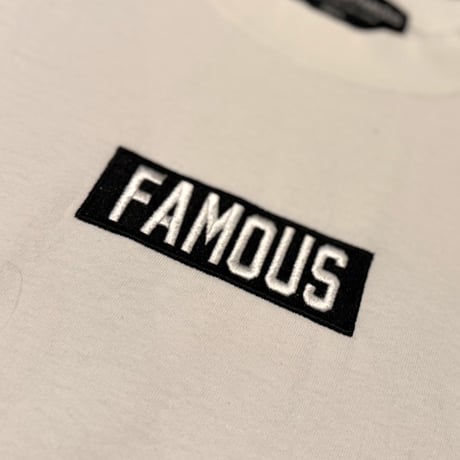 FM BOX T