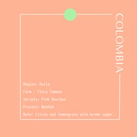 COLOMBIA Finca Tamana Pink Bourbon Washed / 250g