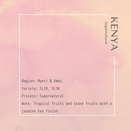 【７周年限定豆】KENYA Maguta Estate Supernatural "Waridi” / 100g