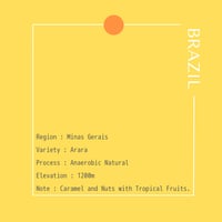 BRAZIL Santa Terezinha Anaerobic Natural /100g