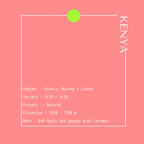 KENYA Kihuro Natural / 100g