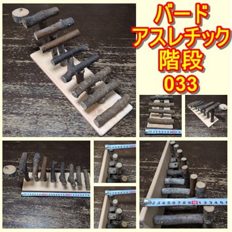 バードアスレチック | STORES