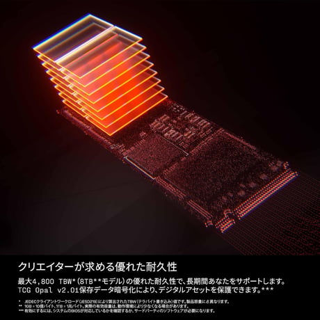 Sandisk Optimus GX PRO 850X NVMe SSD