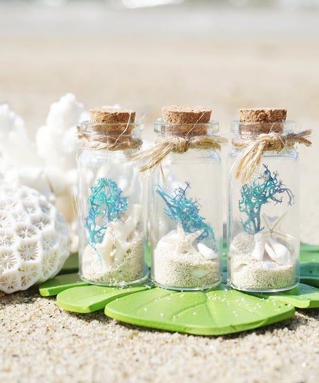BEACH BLUE ミニシェルボトル　SHELOOMオリジナル