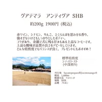グアテマラ　アンティグア　SHB