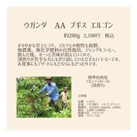 ウガンダ AA ブギス エルゴン
