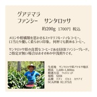 グアテマラ　ファンシー　サンタロッサ　SHB