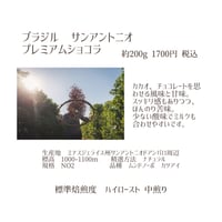 ブラジル　サンアントニオ　プレミアムショコラ