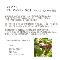 ジャマイカ　ブルーマウンテン NO1