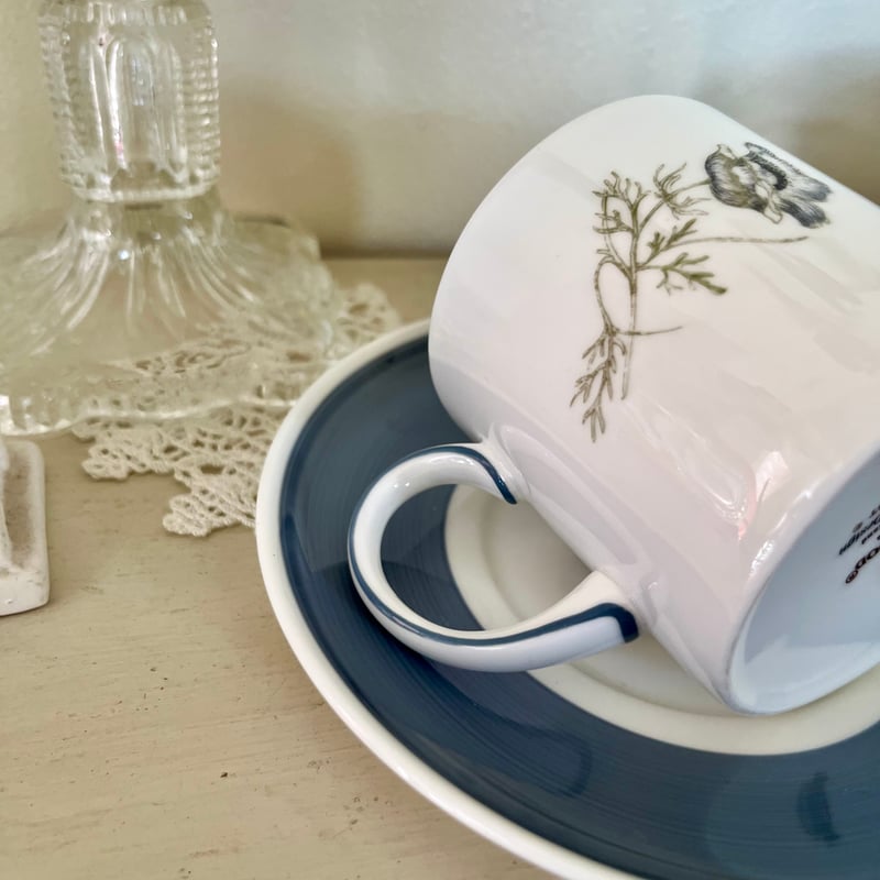 ○po-221/Wedgwood×スージークーパー グレンミスト デミタスカップ