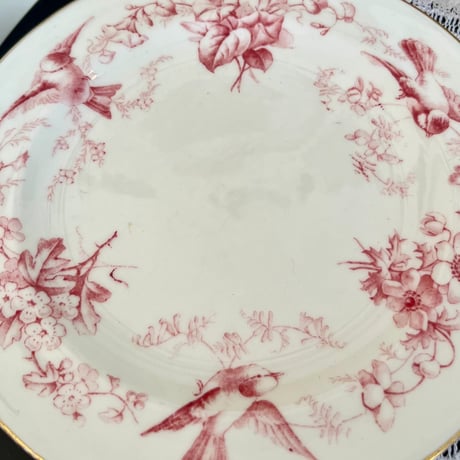 ●po-149/Coalport コールポート 小鳥とすみれのトリオ