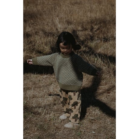 トラベラーパンツ Tree Traveller Pants(19TREETP)/organiczoo(ｵｰｶﾞﾆｯｸｽﾞｰ)