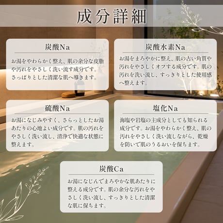 【医薬部外品】昼神の湯  温泉の素（10回分おまとめパック）【送料無料】