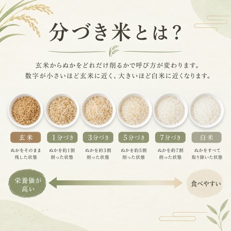 【2026年（令和8年）】　白馬の雪解け米　あきたこまち　5Kg 　ご注文後に精米し、鮮度の高いお米を配送します。