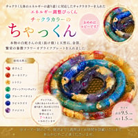 チャクラカラーの「ちゃっくん」（オーダー制）