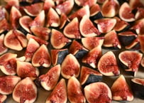 9月27日（日）9月のレッスン受講お申し込み