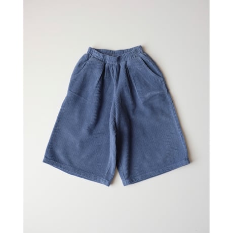 FYTZ blaze cord pants blue flame(BB-1Y,2Y-3Y,4Y-5Y)