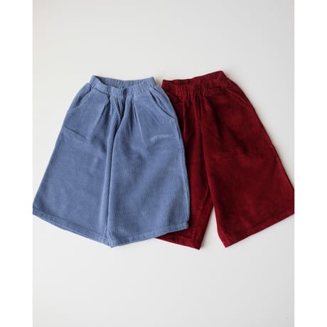 FYTZ blaze cord pants blue flame(BB-1Y,2Y-3Y,4Y-5Y)