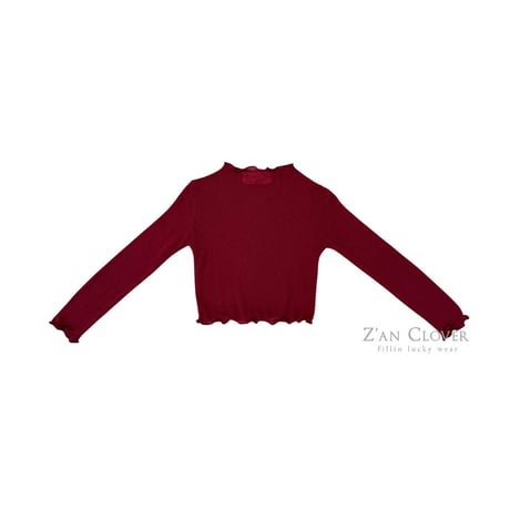 【予約】ZC sheer layered long tee