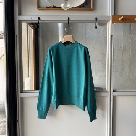 AURALEE　HIGH-TWIST COMPACT SWEAT P/O