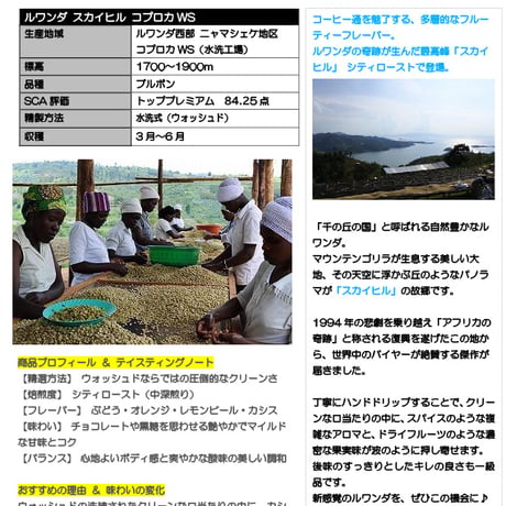 【数量限定】ルワンダ スカイヒル・コプロカ｜シティロースト【中深煎り/200g・400g】※送料込み