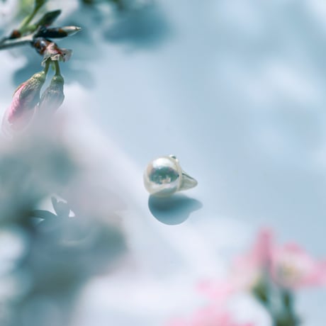 3月21日金魚真珠
