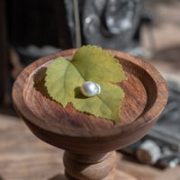 11月19日金魚真珠