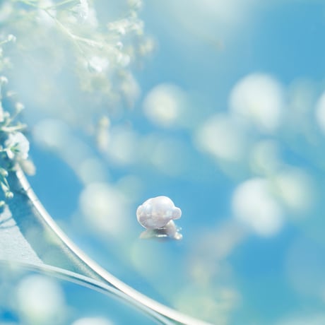2月1日金魚真珠