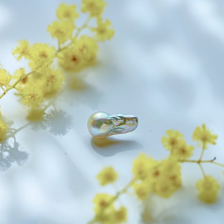 3月8日金魚真珠