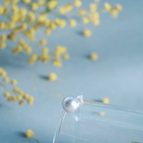 3月12日金魚真珠