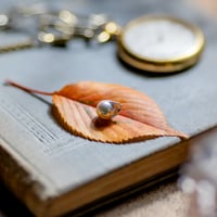 11月9日金魚真珠