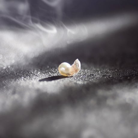 10月31日金魚真珠